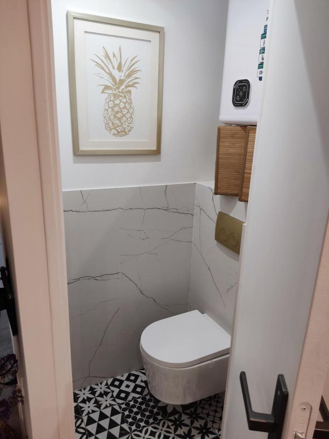 Superbe Appartement Avec Jacuzzi Avec Jardin Prive Lyon Exteriör bild
